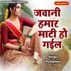 About Jawaniya Hamar Maati Ho Gayil Song